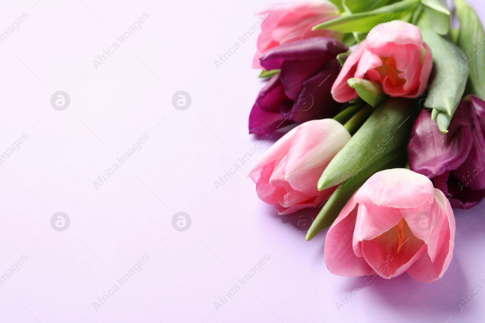 Photo of Beautiful spring tulips on color background, space for text. International Women's Day