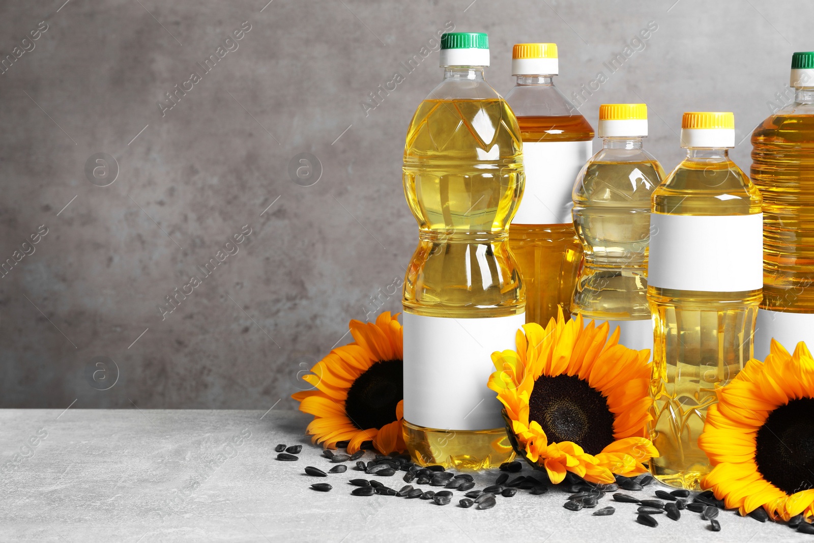 Photo of Bottles of sunflower cooking oil, seeds and yellow flowers on light grey table, space for text