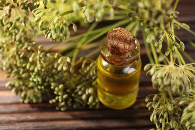 Photo of Bottle of essential oil and fresh dill on wooden table, closeup