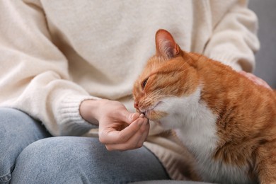 Photo of Woman giving vitamin pill to cute cat, closeup