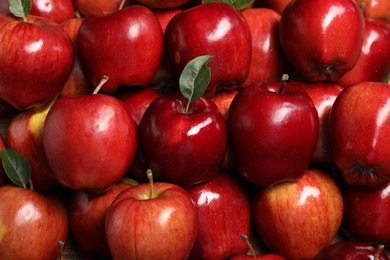 Photo of Fresh ripe red apples with leaves as background, closeup