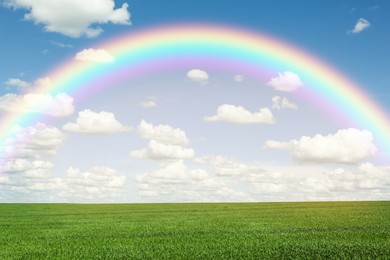 Image of Picturesque view of green meadow and beautiful rainbow in blue sky on sunny day