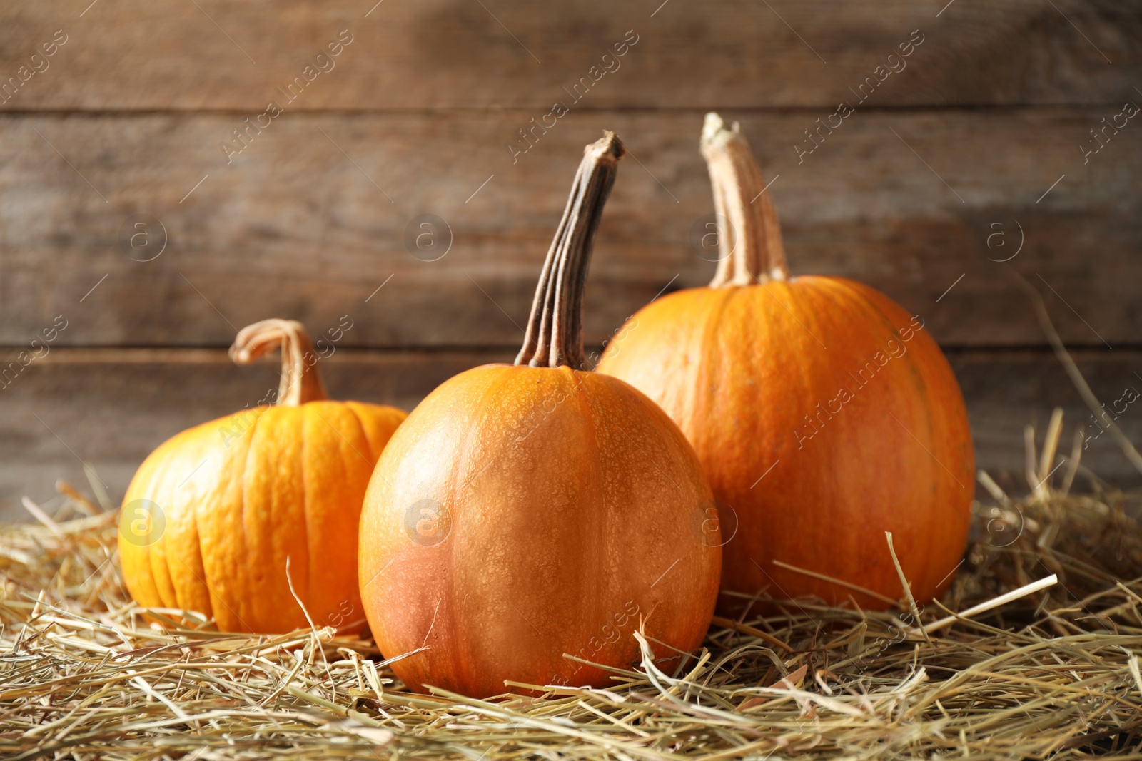 Photo of Ripe pumpkins on hay against wooden background. Holiday decoration