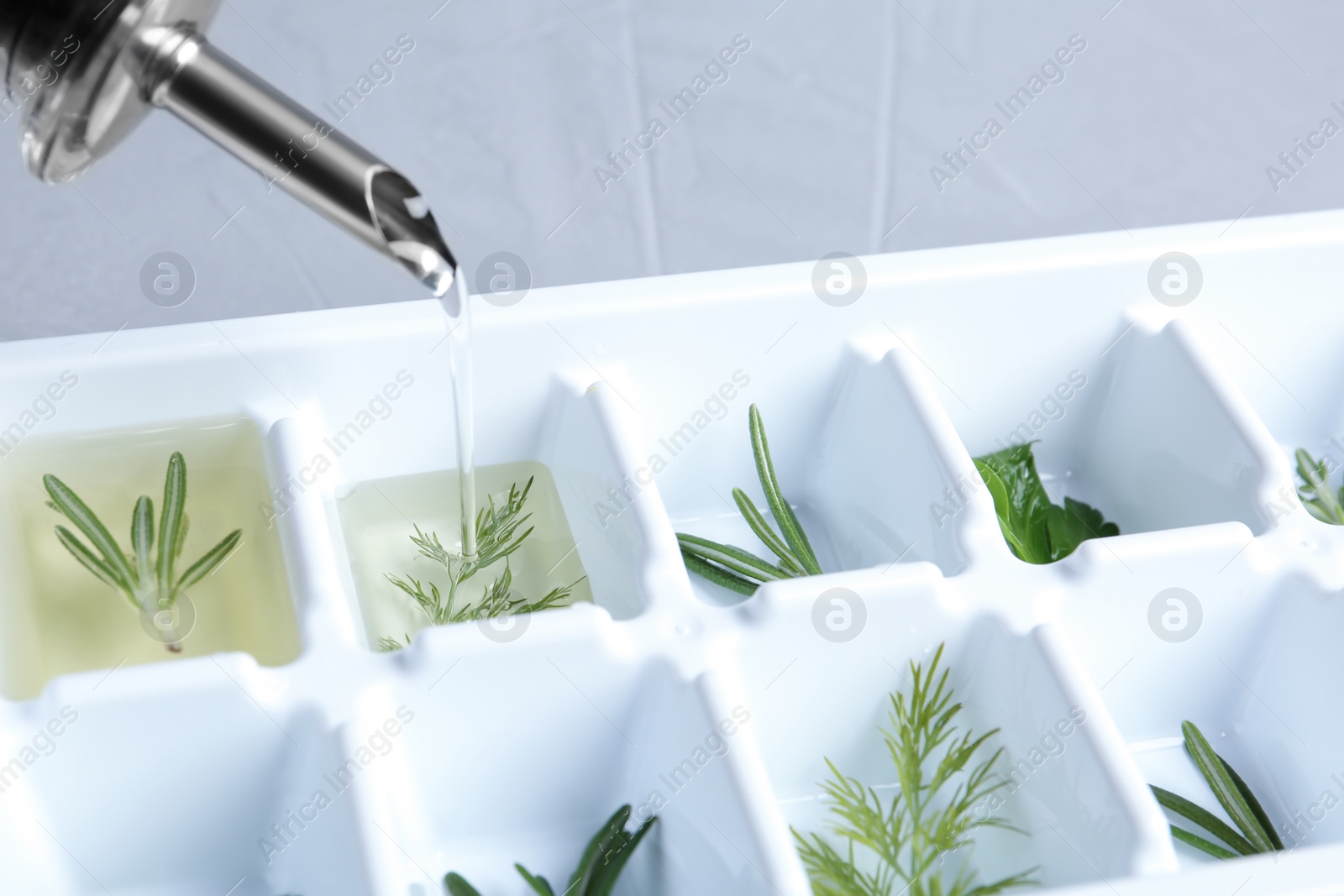 Photo of Pouring oil into ice cube tray with herbs, closeup