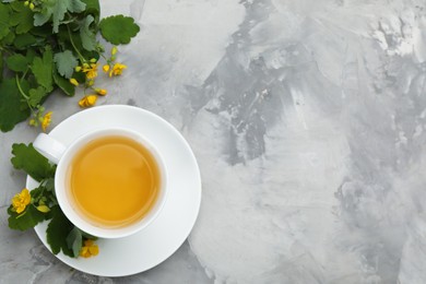 Photo of Cup of aromatic celandine tea and flowers on grey table, flat lay. Space for text