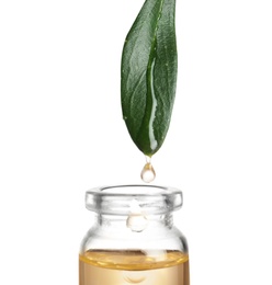 Photo of Drop of essential oil falling from leaf into glass bottle on white background