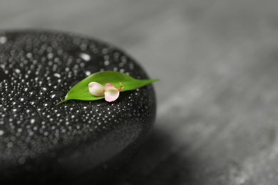 Photo of Wet black spa stone with petal and leaf on grey table, closeup. Space for text