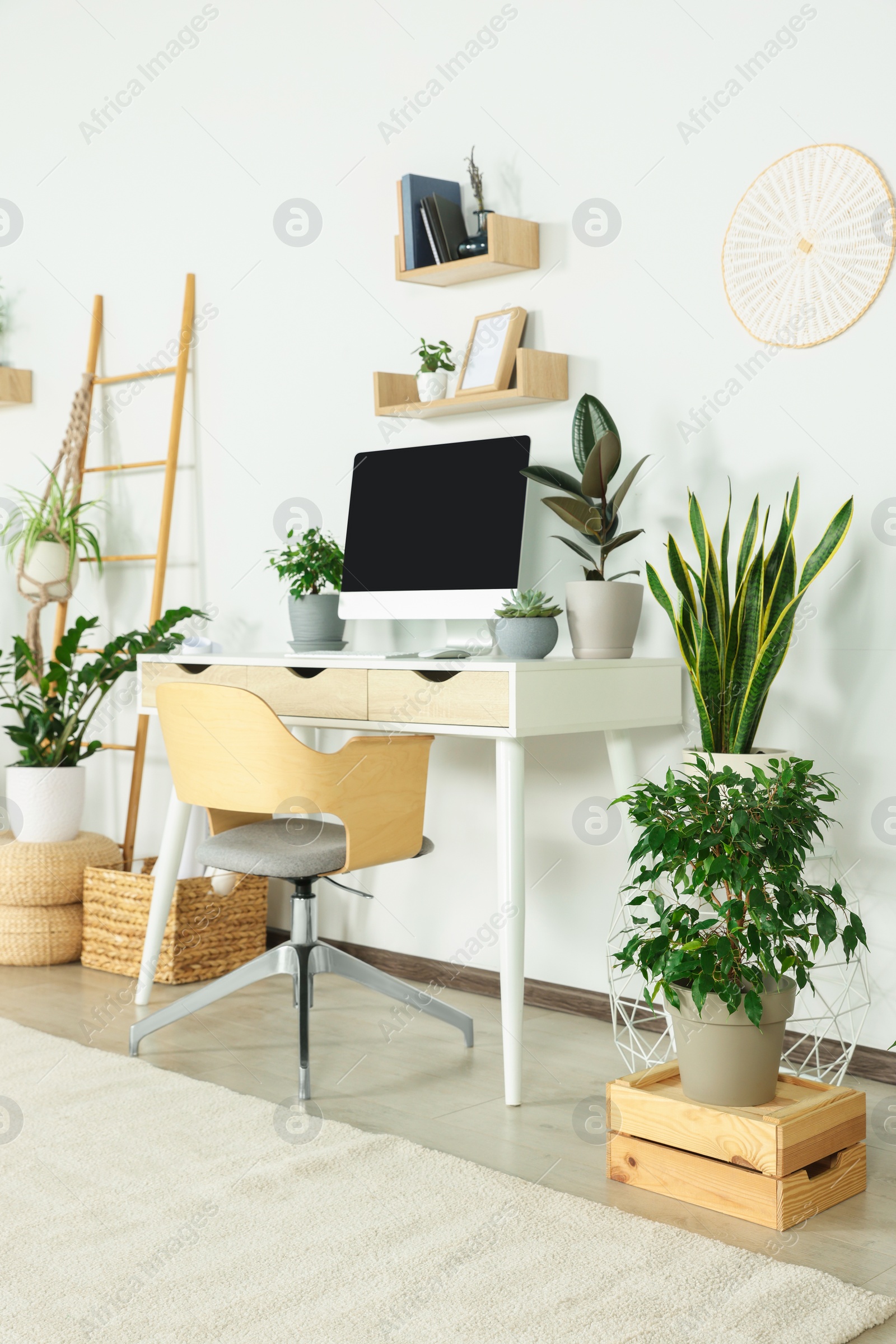 Photo of Comfortable workplace with modern computer and different houseplants in room