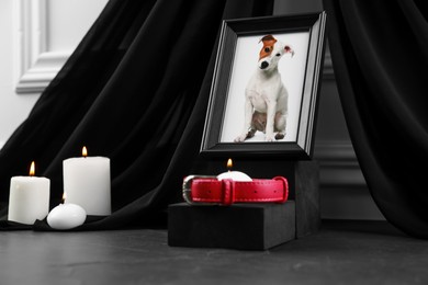 Photo of Frame with picture of dog, collar and burning candles on grey table. Pet funeral