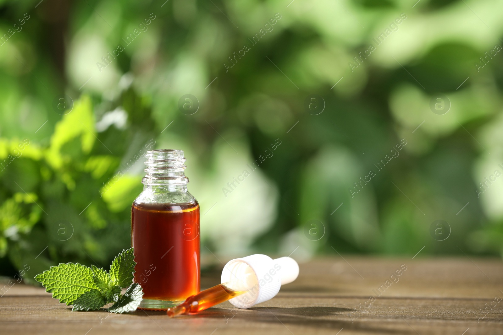 Photo of Glass bottle of nettle oil with dropper and leaves on wooden table against blurred background, space for text