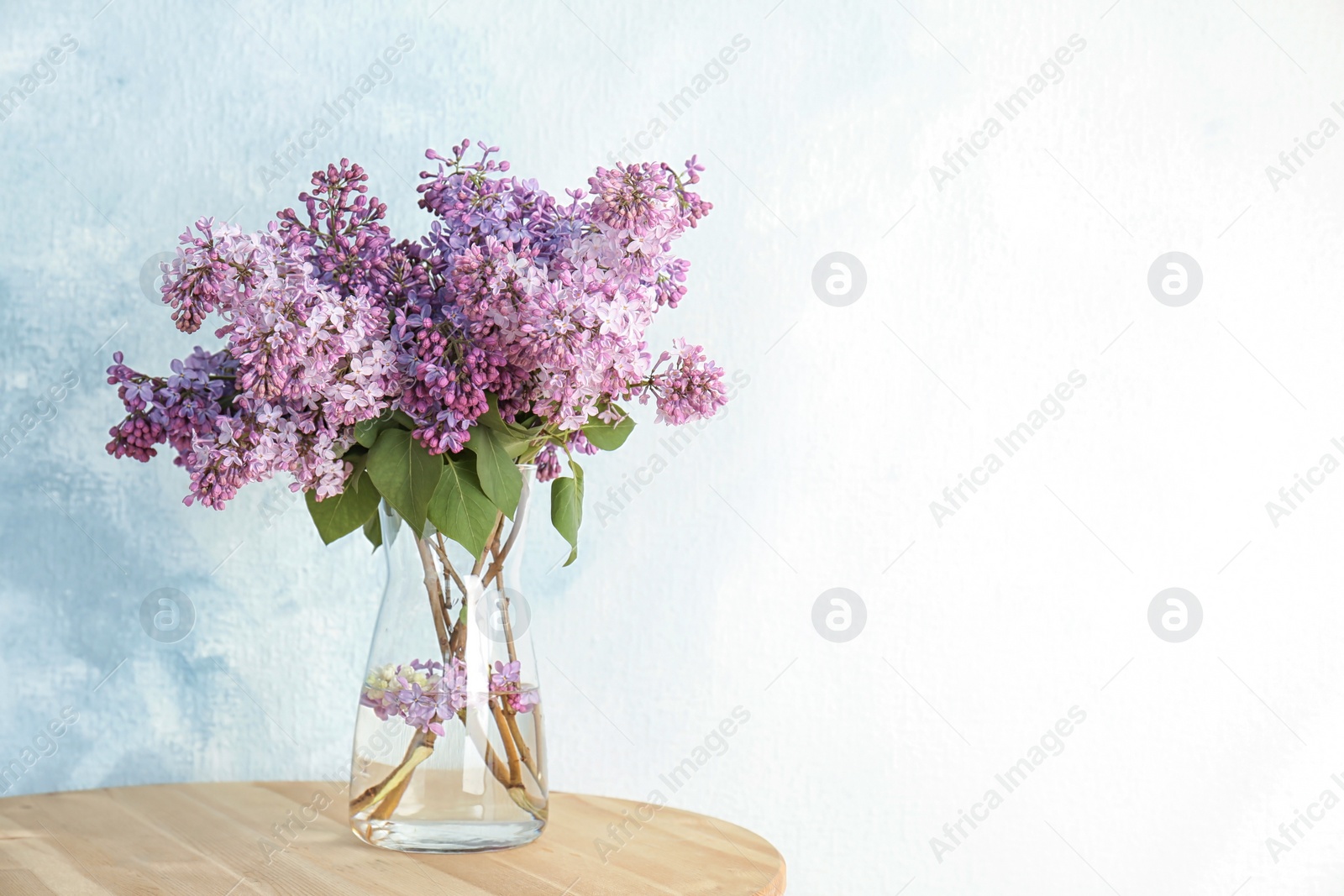 Photo of Vase with beautiful blossoming lilac on table against light background. Spring flowers