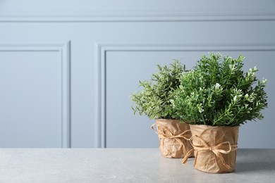 Photo of Aromatic rosemary and thyme growing in pots on light grey table near wall, space for text