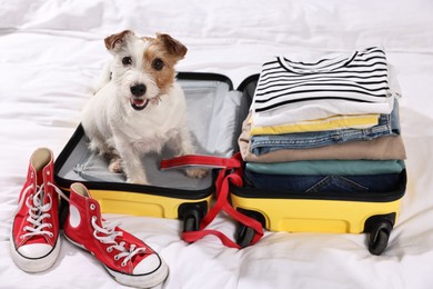 Photo of Travel with pet. Dog, clothes, shoes and suitcase on bed indoors