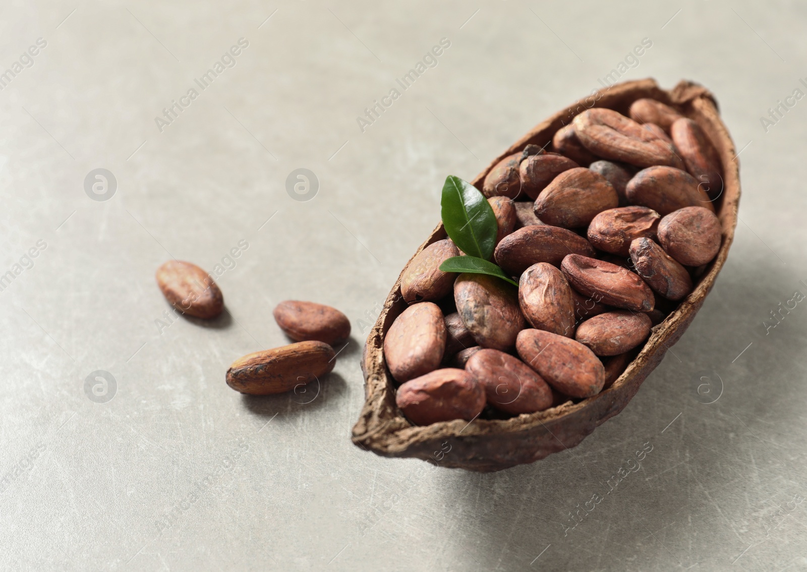 Photo of Half of cocoa pod with beans on light table, space for text