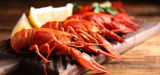 Image of Delicious red boiled crayfishes on table, closeup. Banner design