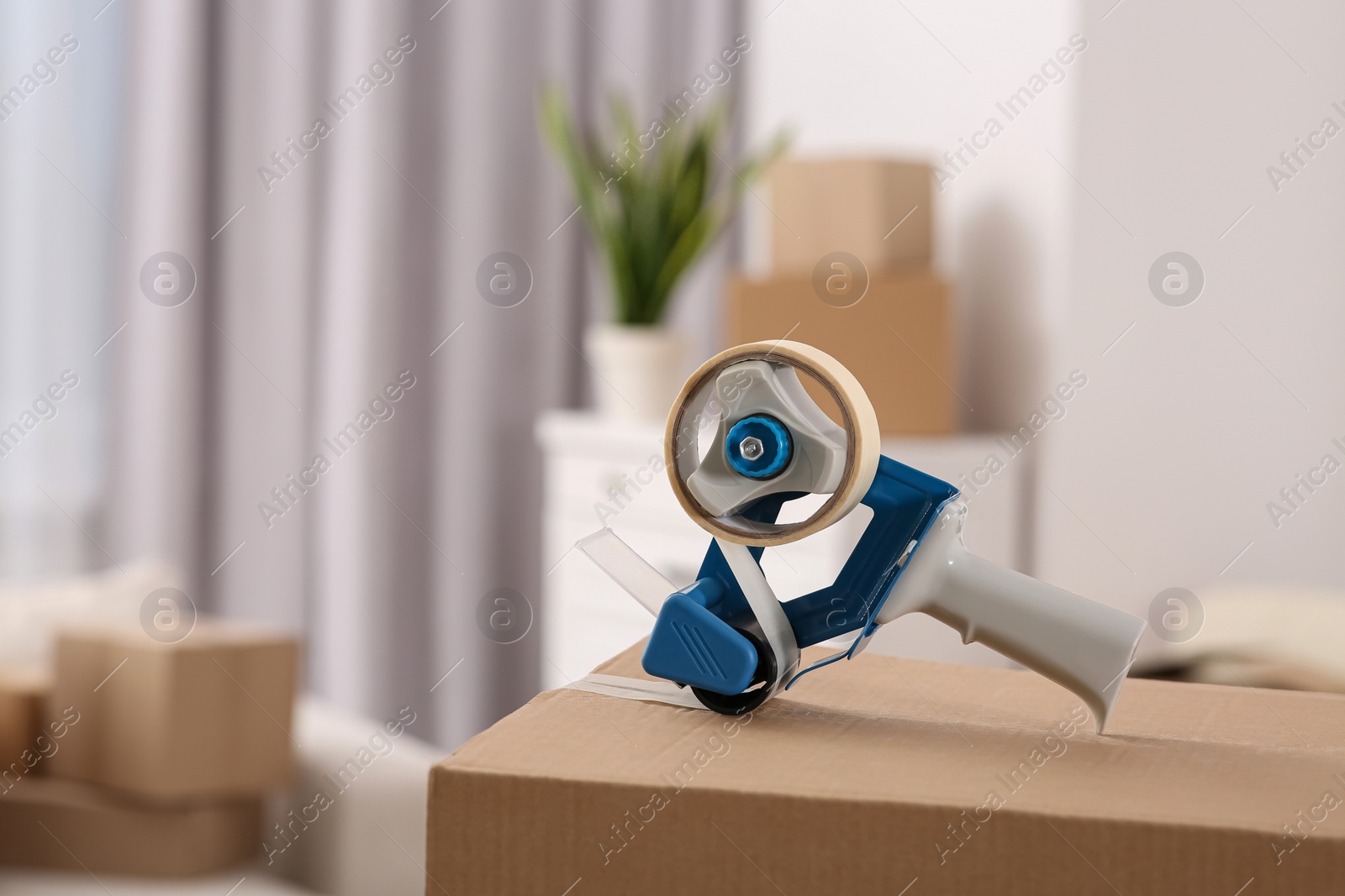 Photo of Dispenser with roll of adhesive tape on box indoors. Space for text