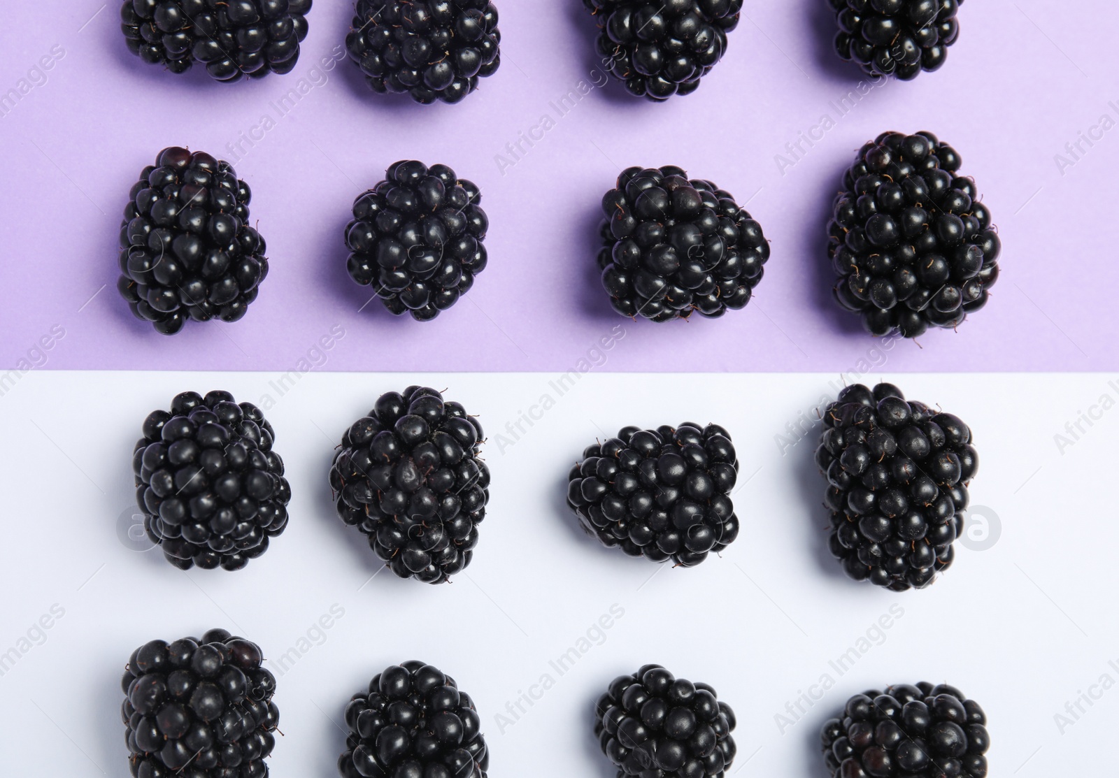 Photo of Flat lay composition with ripe blackberries on color background