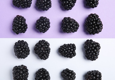 Flat lay composition with ripe blackberries on color background