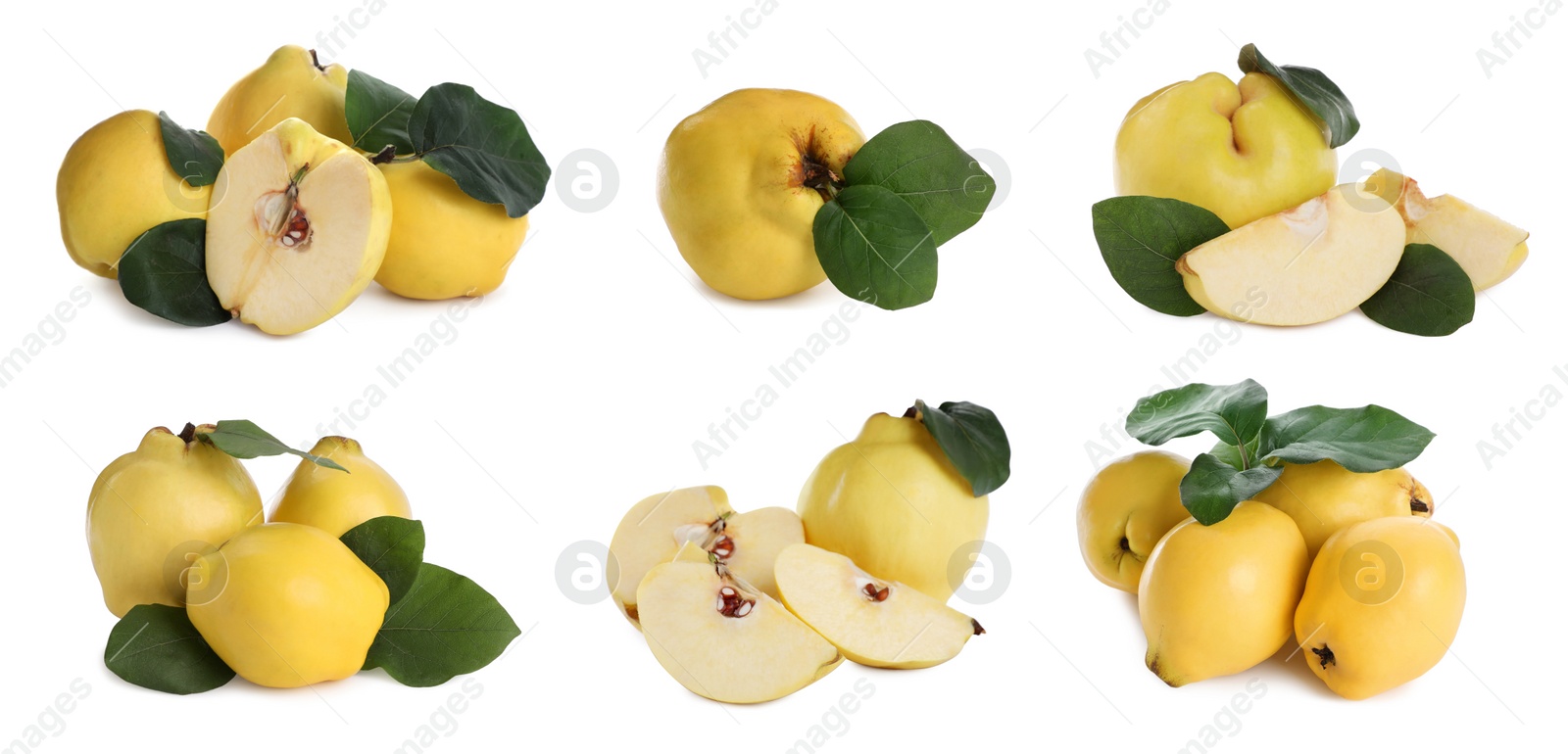 Image of Set of delicious ripe quinces on white background. Banner design