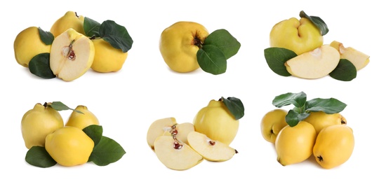 Image of Set of delicious ripe quinces on white background. Banner design