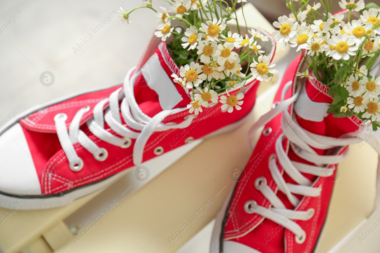 Photo of Above view of beautiful tender chamomile flowers in red gumshoes on wooden table