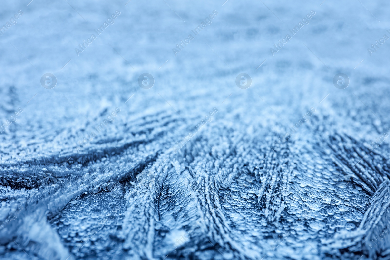 Photo of Surface covered with beautiful hoarfrost, closeup view