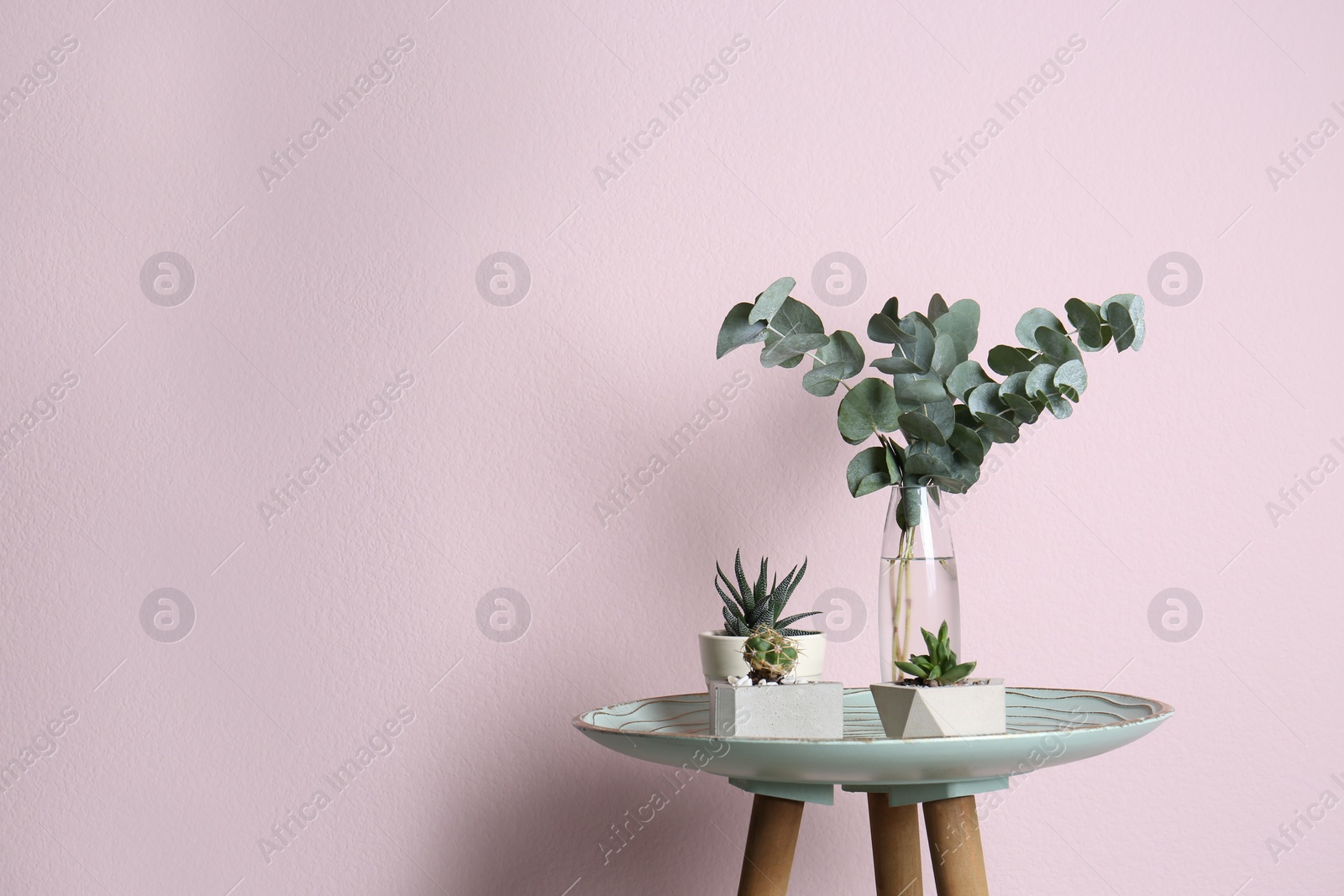 Photo of Eucalyptus branches and potted plants on table near pink wall. Space for text