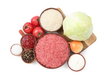 Photo of Set of ingredients for preparing stuffed cabbage rolls isolated on white, top view