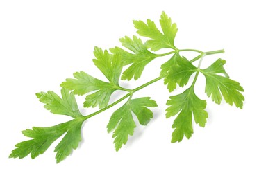 Photo of Sprigs of fresh green parsley leaves isolated on white