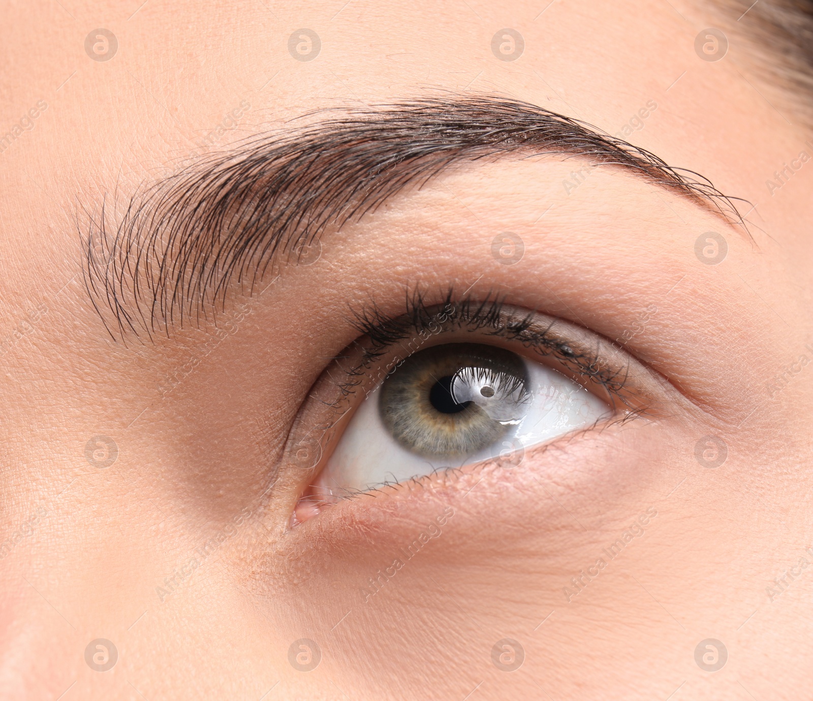 Photo of Beautiful woman with perfect eyebrow, closeup