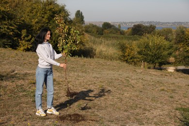 Mature woman with sapling in park on sunny day, space for text. Planting tree