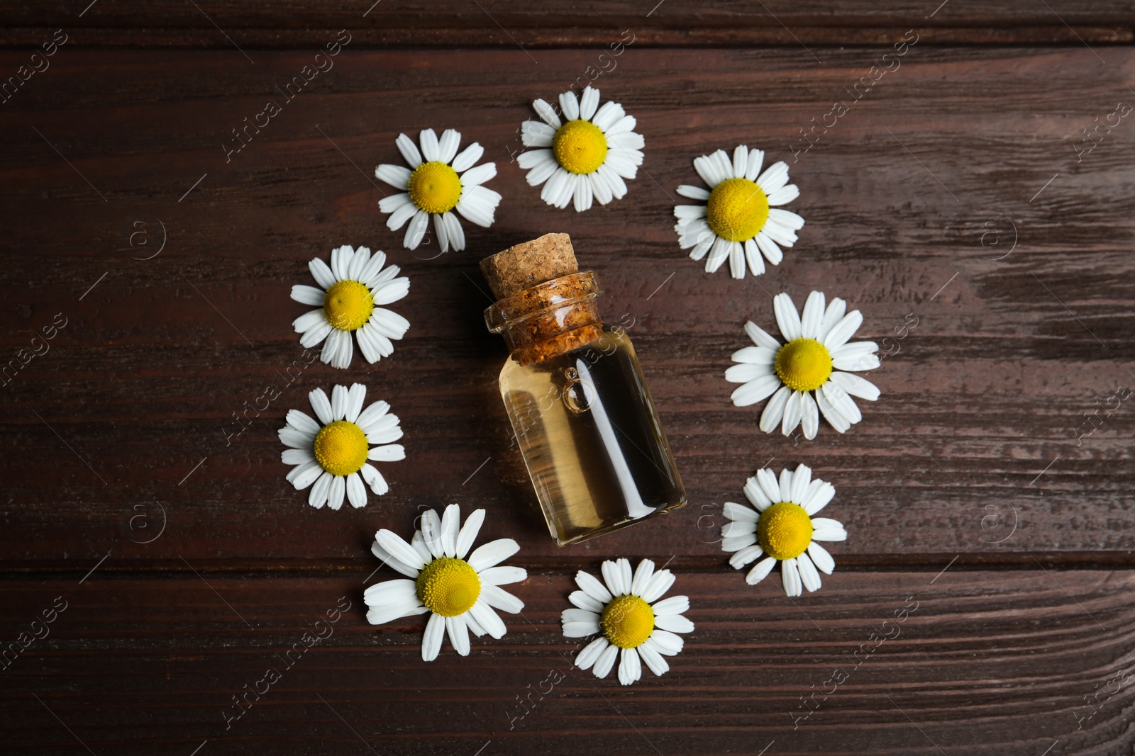 Photo of Bottle of essential oil and chamomiles on wooden table, flat lay
