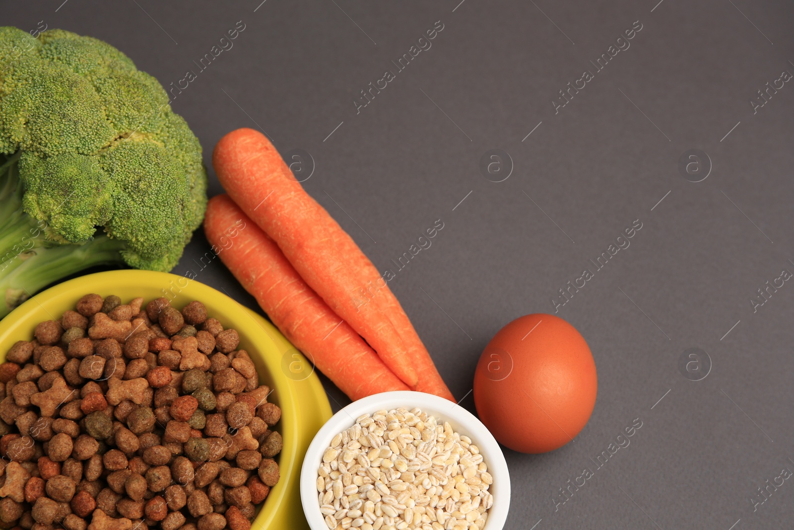 Photo of Dry pet food and products on black background, space for text