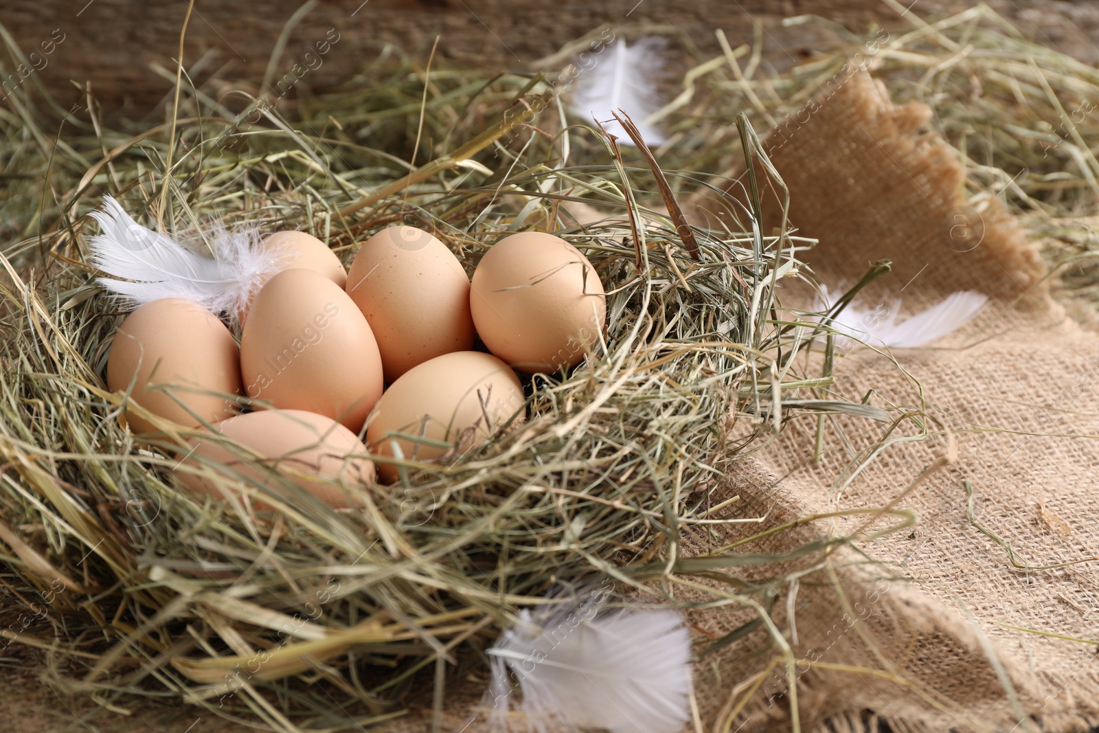 Photo of Fresh raw chicken eggs in nest on table