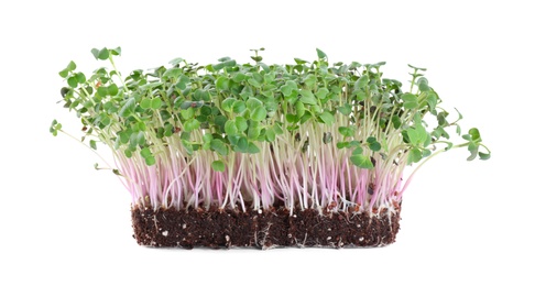 Photo of Fresh organic microgreen seeds on white background