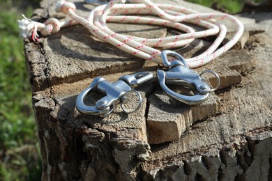 Photo of Climbing rope with carabiners on tree stump, closeup