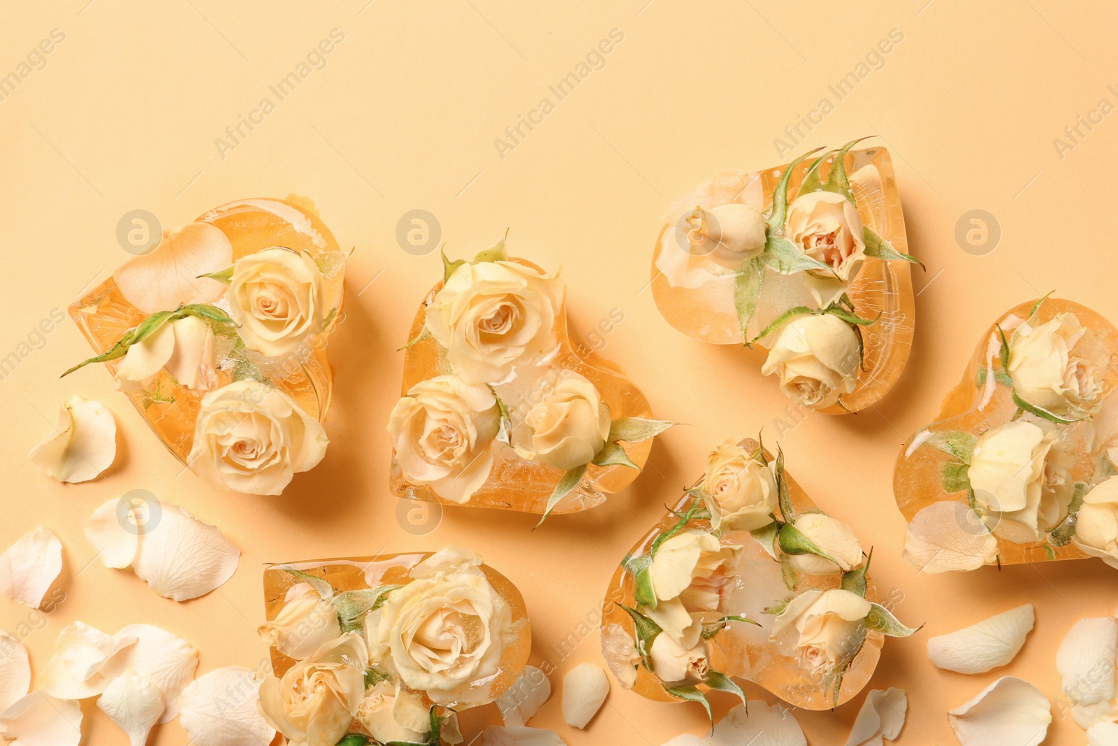 Photo of Heart shaped ice cubes with roses on color background, flat lay composition