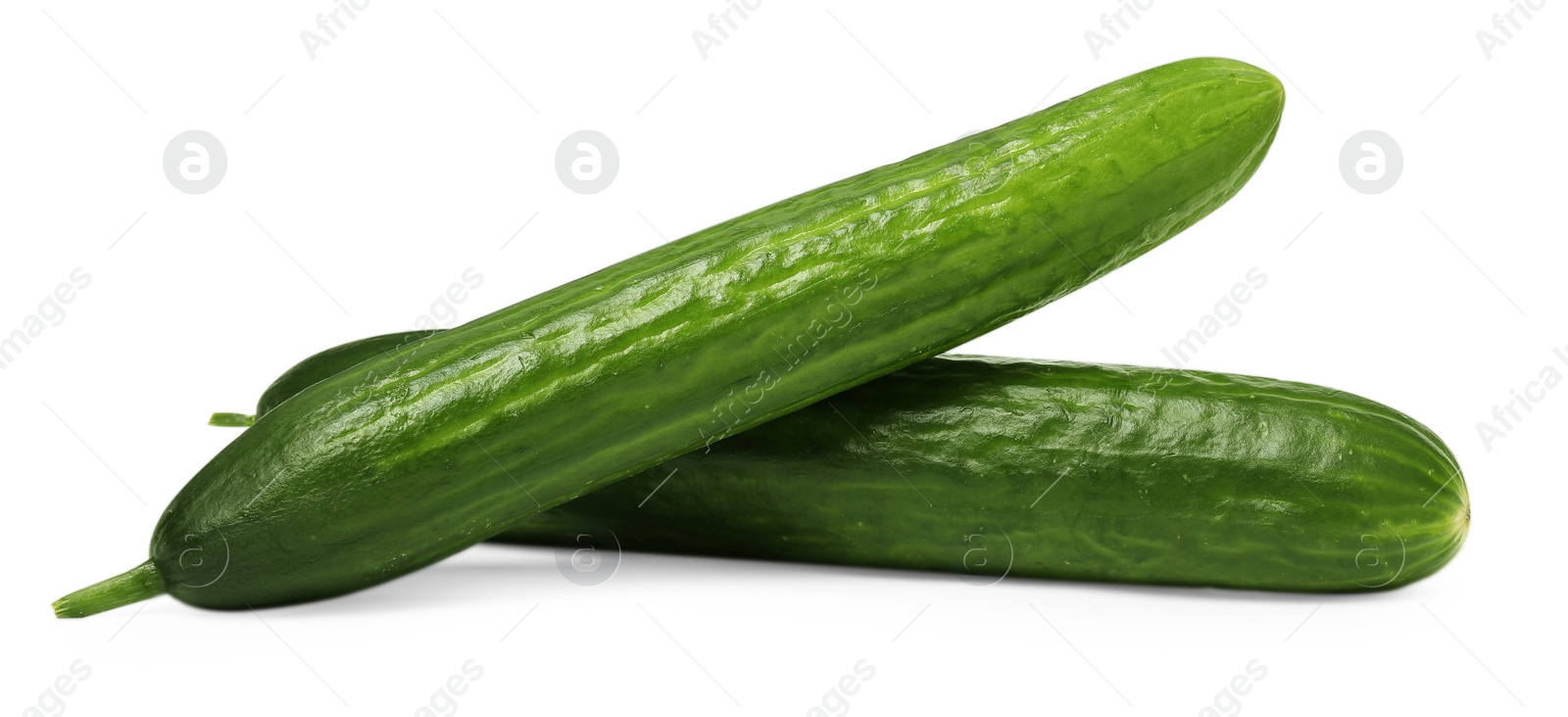 Photo of Two long fresh cucumbers isolated on white