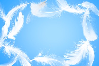 Image of Fluffy bird feathers in air on light blue background, space for text