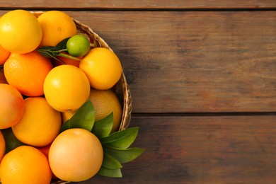 Wicker basket with different citrus fruits and leaves on wooden table, top view. Space for text