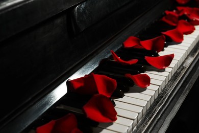 Photo of Many red rose petals on piano keys, closeup