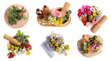 Image of Set of mortars with flowers and herbs on white background, top view