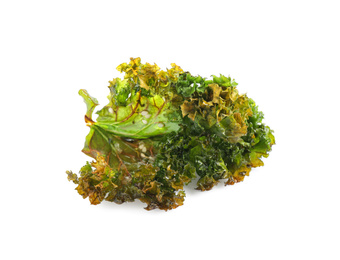 Photo of Tasty baked kale chip isolated on white