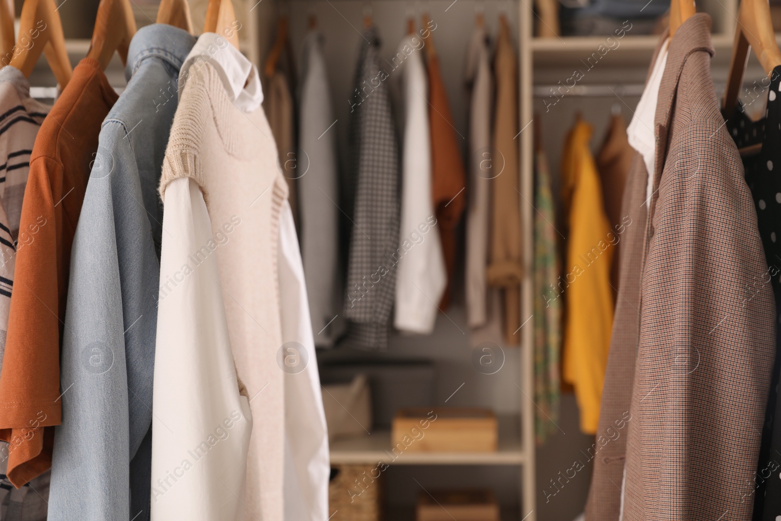 Photo of Wardrobe closet with different stylish clothes indoors, closeup