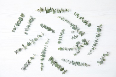 Photo of Flat lay composition with fresh eucalyptus leaves on white wooden background