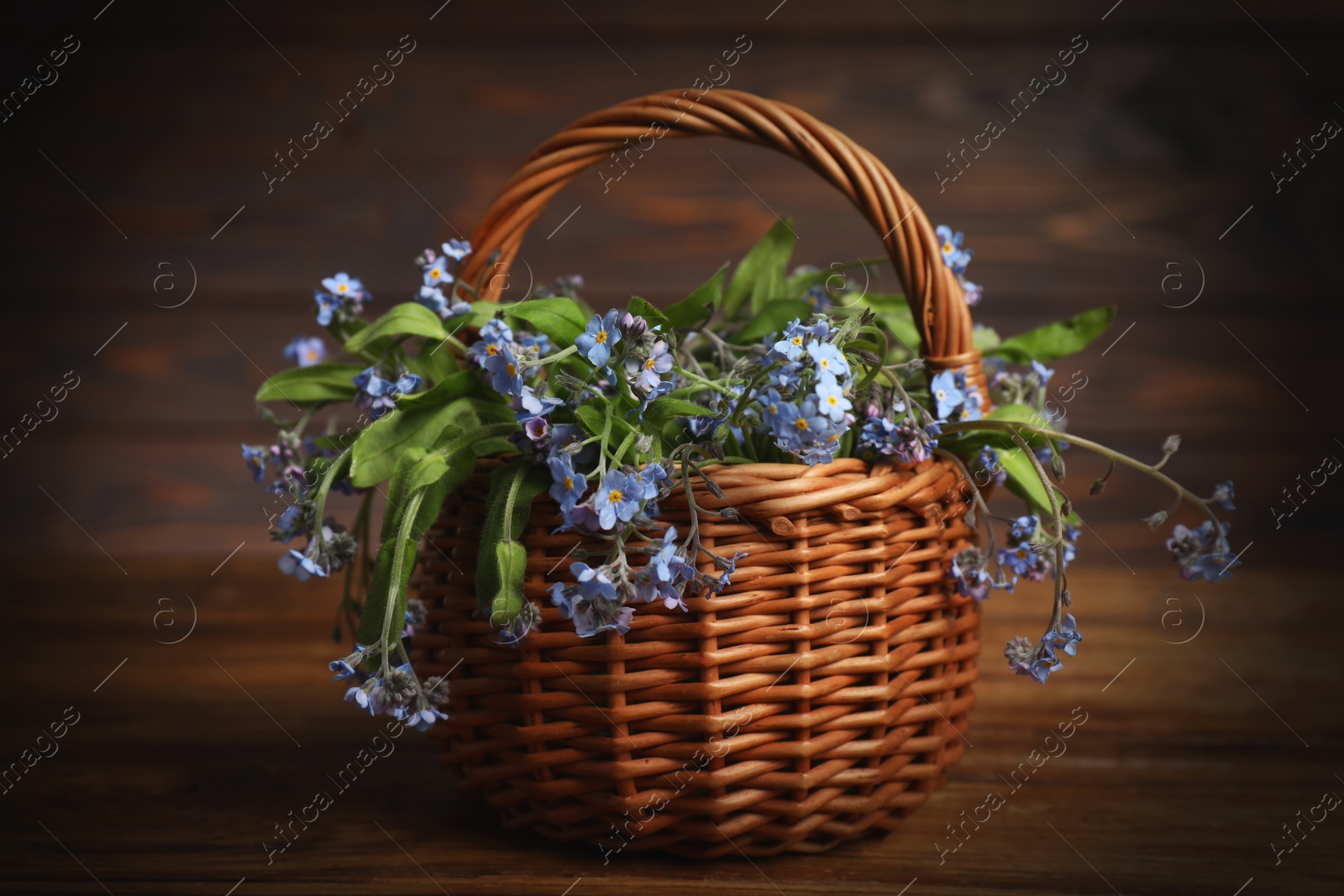 Photo of Beautiful forget-me-not flowers in wicker basket on wooden table