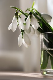 Photo of Beautiful snowdrops in glass on table indoors. First spring flowers