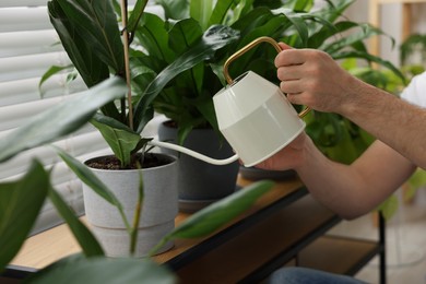 Photo of Man watering beautiful potted houseplants indoors, closeup