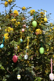 Photo of Beautifully painted Easter eggs hanging on tree outdoors