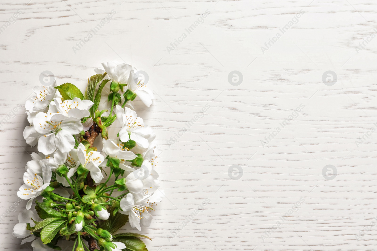 Photo of Beautiful blossoming branch on wooden background